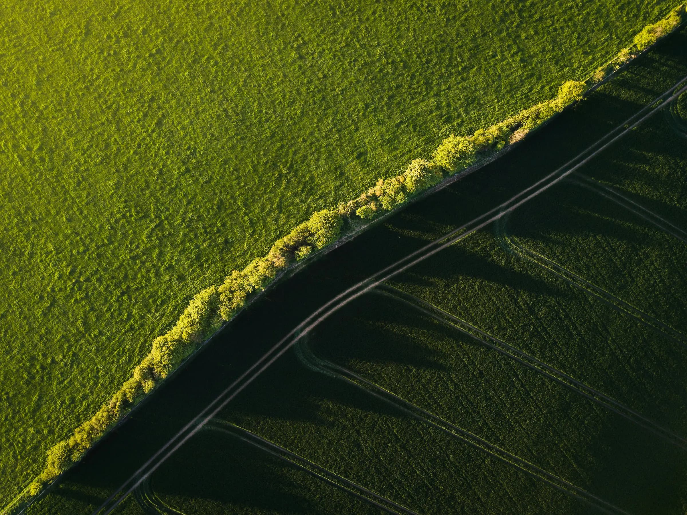 Aerial view of rolling fields
